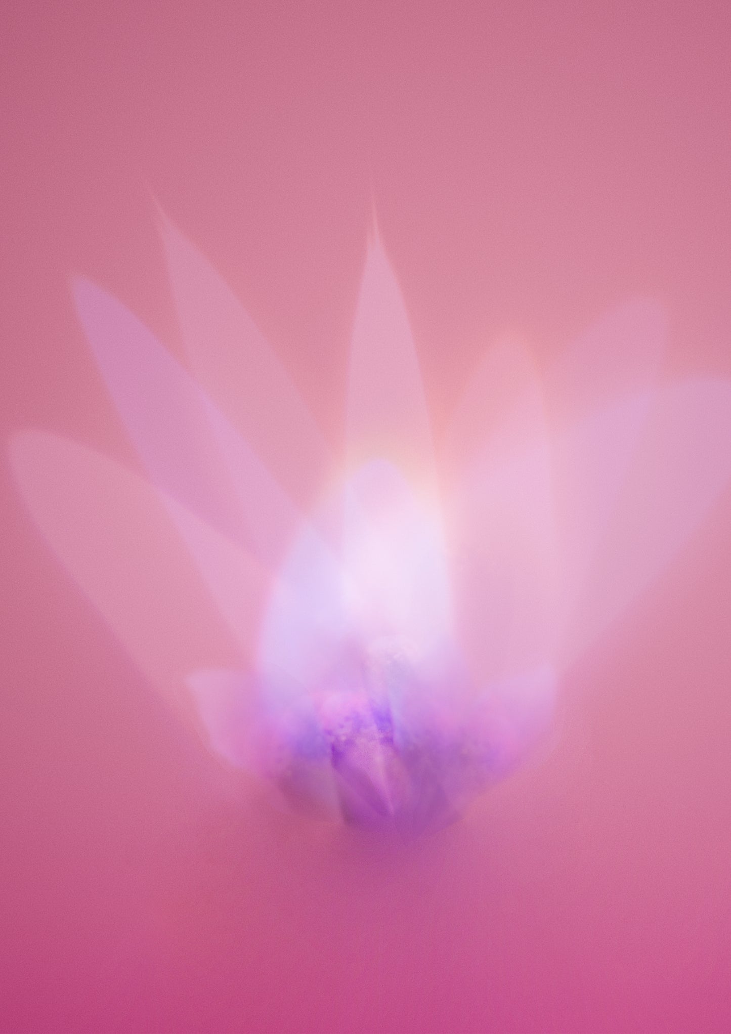【Glass Wall Art】Flower Fire Collection　FF02